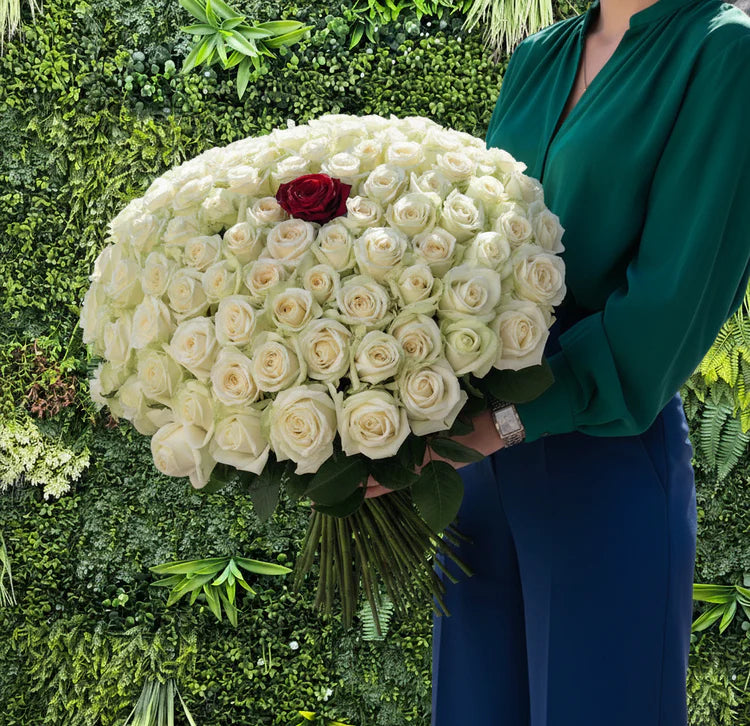 101 White Roses with A Kiss of Red