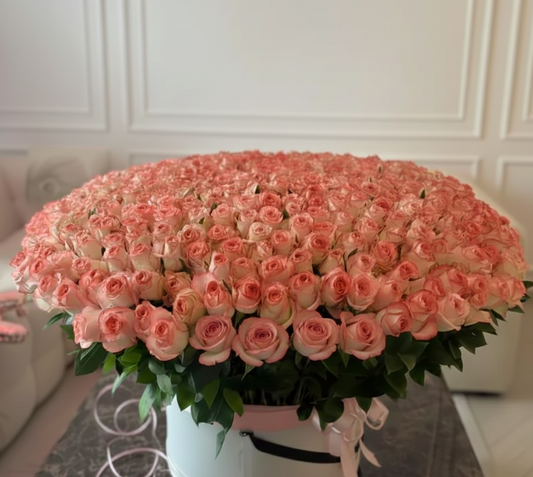 The Royal 501 Pink Horizon Box