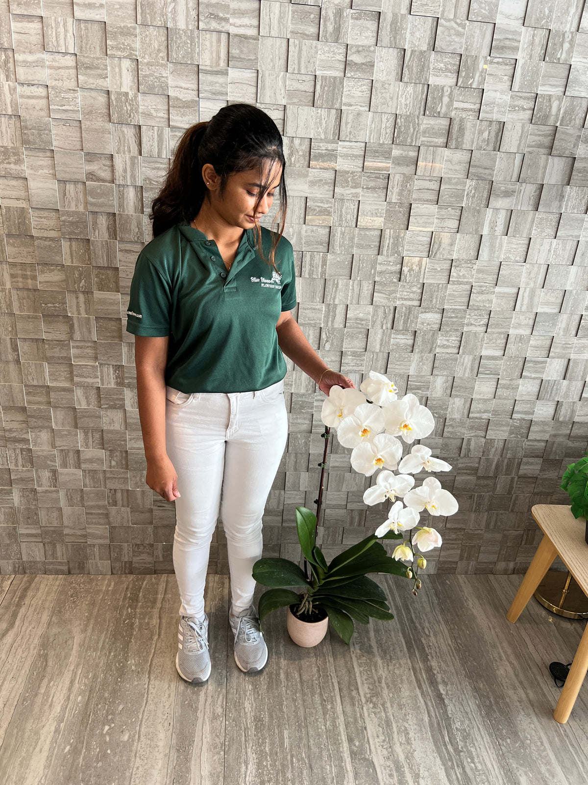90cm Premium White Orchid (Phalaenopsis) Plant with Pot