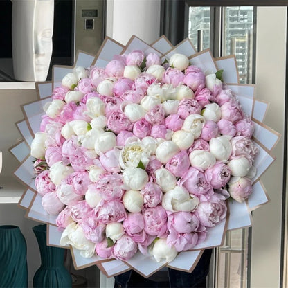 Peony Blush 101