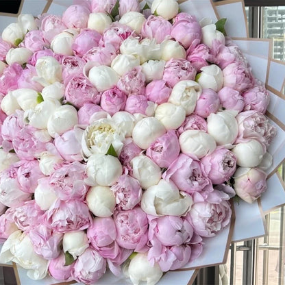 Peony Blush 101