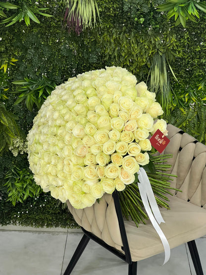 151 White Roses Bunch
