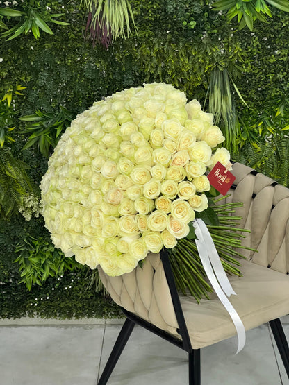 151 White Roses Bunch