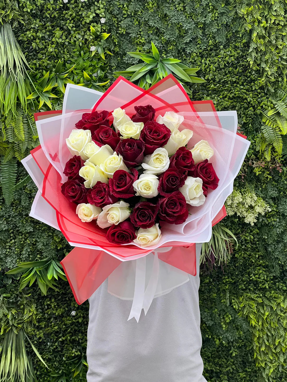 Love in Harmony - 31 Red and White Roses