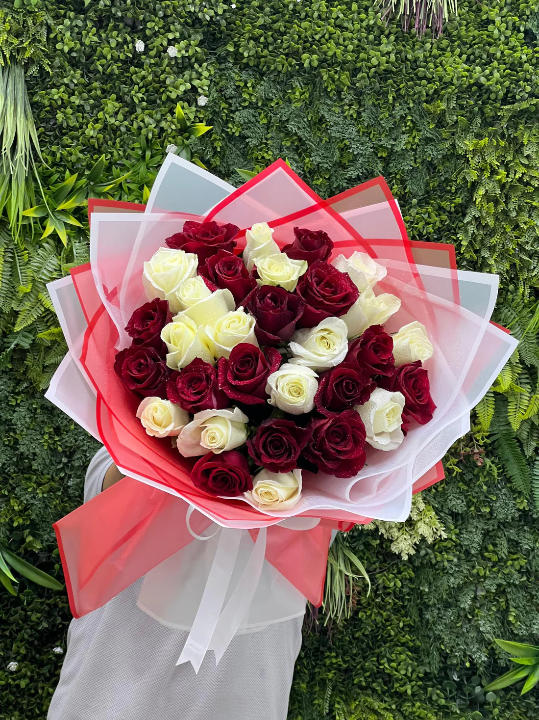 Love in Harmony - 31 Red and White Roses