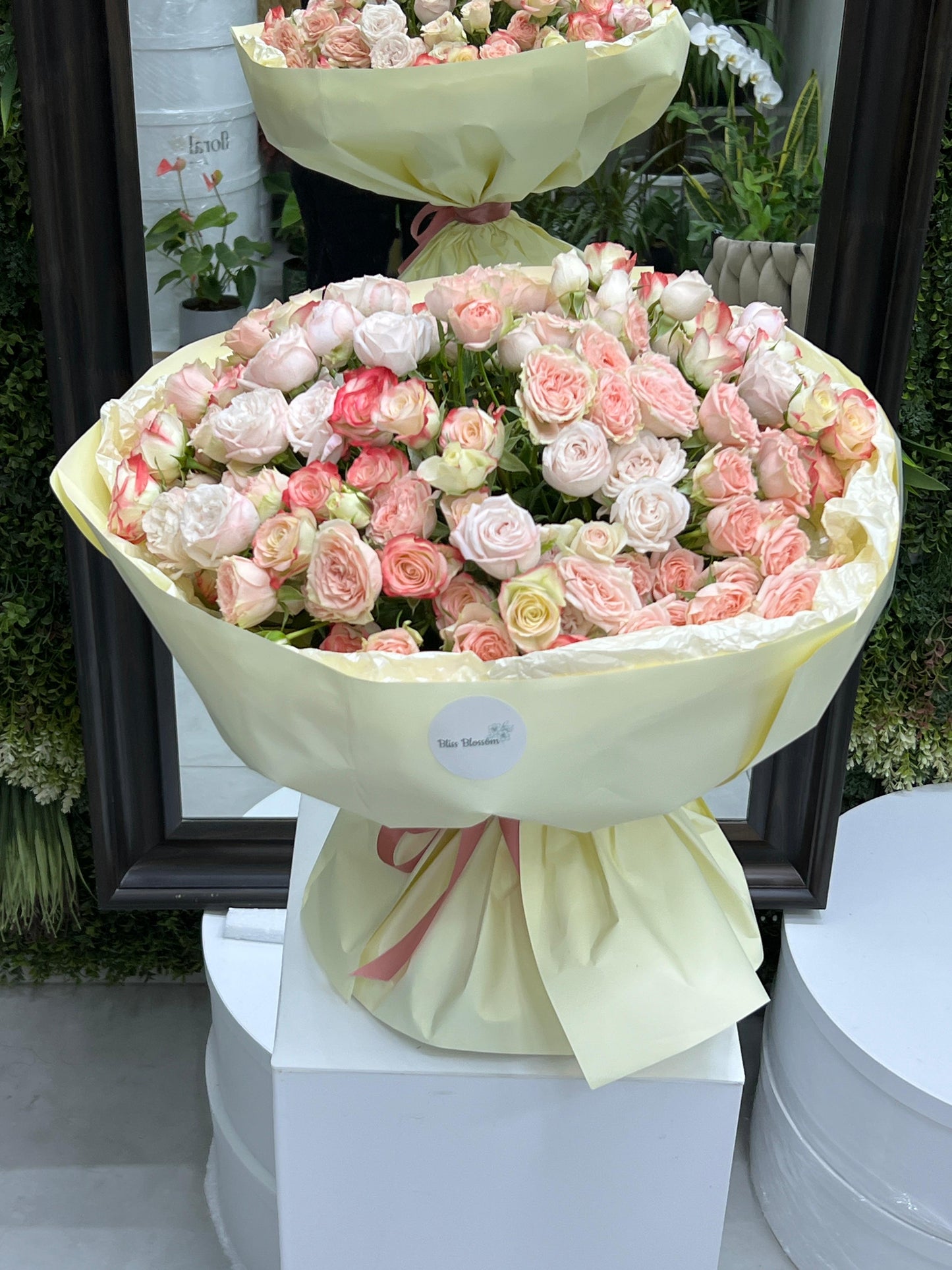 Sterling Rose Garden